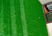 grass carpet