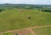 TITLED RESIDENTIAL PLOTS FOR SALE MEASURED 50*100FT WITH READY LAND AT AFFORDABLE PRICE OF 13MILLION