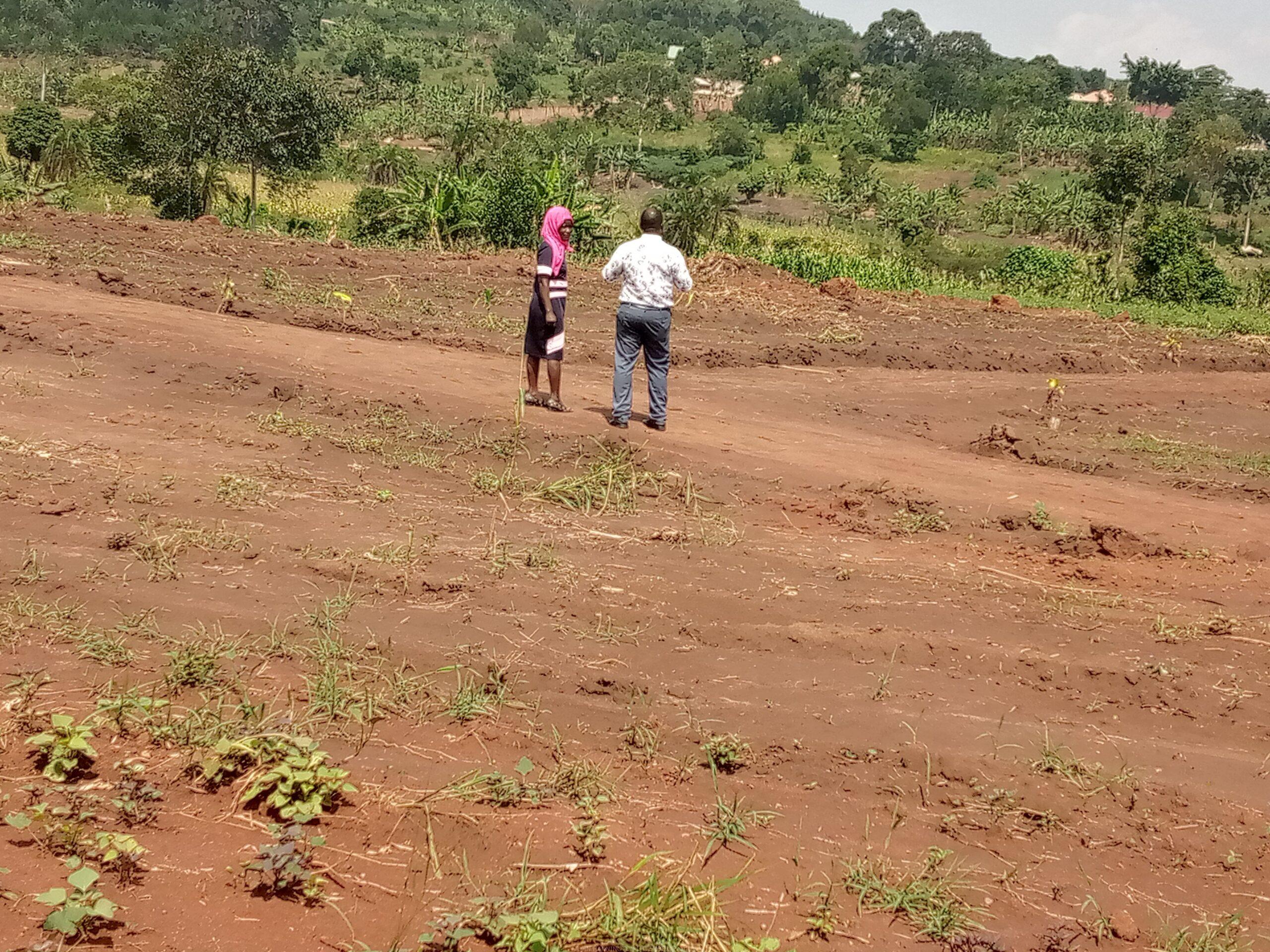 Commercial and Residential plots for sale located in GAYAZA BUSUKUMA NABUTITI