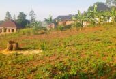 Bombo Road Matugga Sanga Residential plot for sale