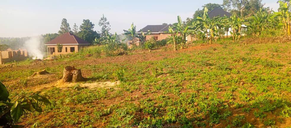 Bombo Road Matugga Sanga Residential plot for sale