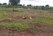 TITLED PLOTS FOR SALE LOCATED IN WAKISO KAKIRI MWERA