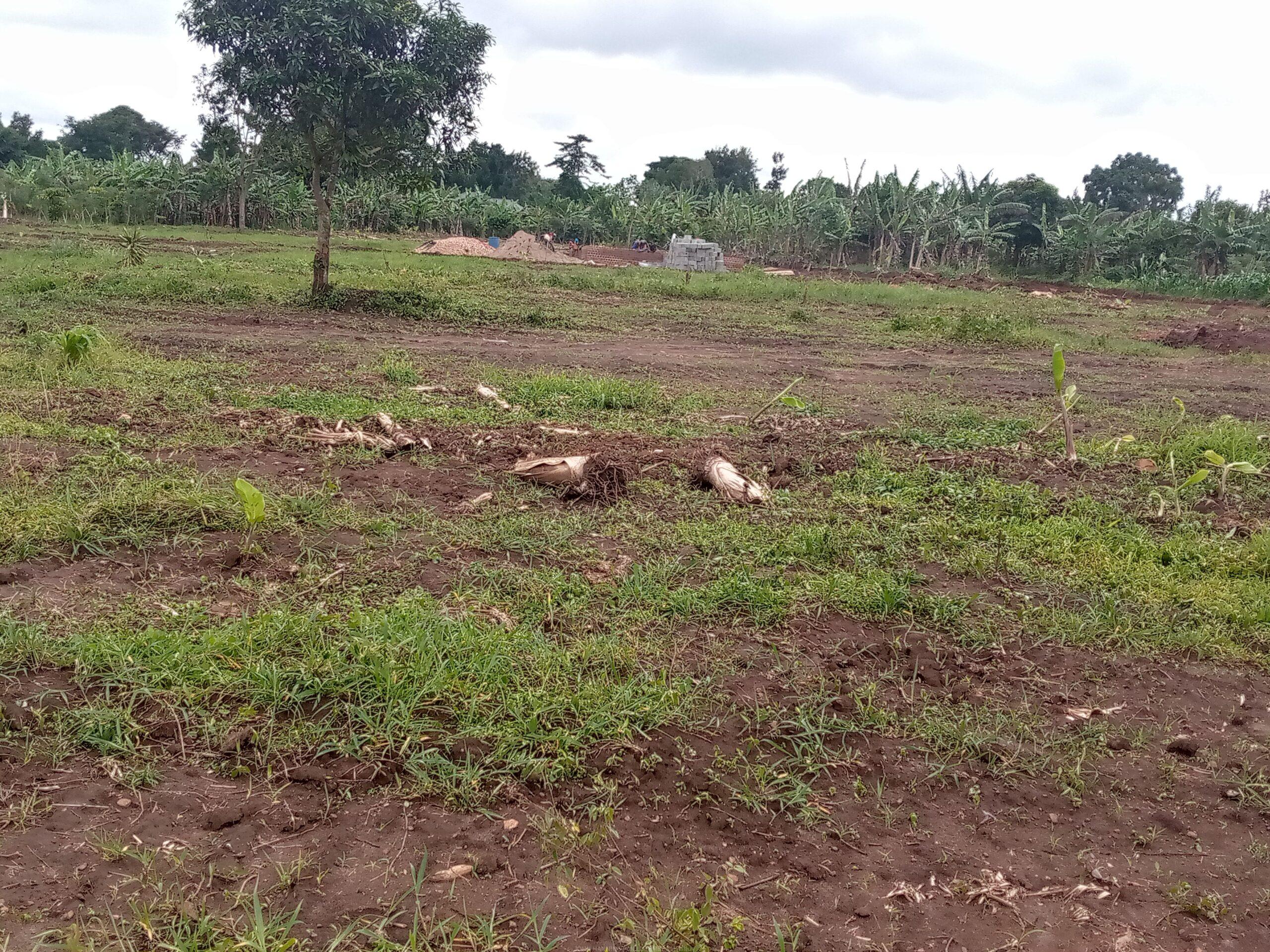 TITLED PLOTS FOR SALE LOCATED IN WAKISO KAKIRI MWERA