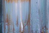 Curtains and carpets