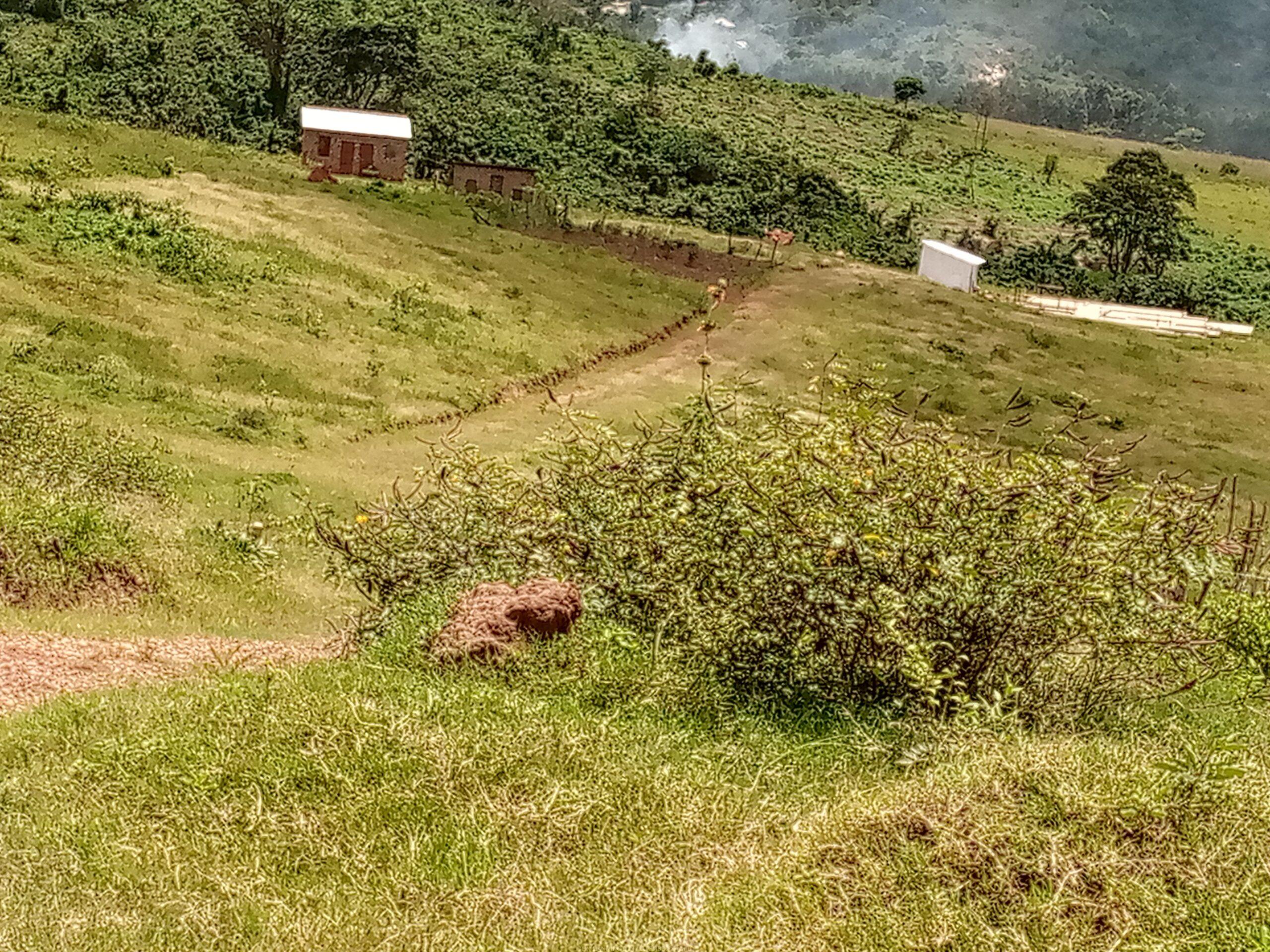 Commercial and Residential plots for sale located in Wakiso mabobwe tongoro village