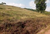Residential plots for sale located in Wakiso Gobero muguluka