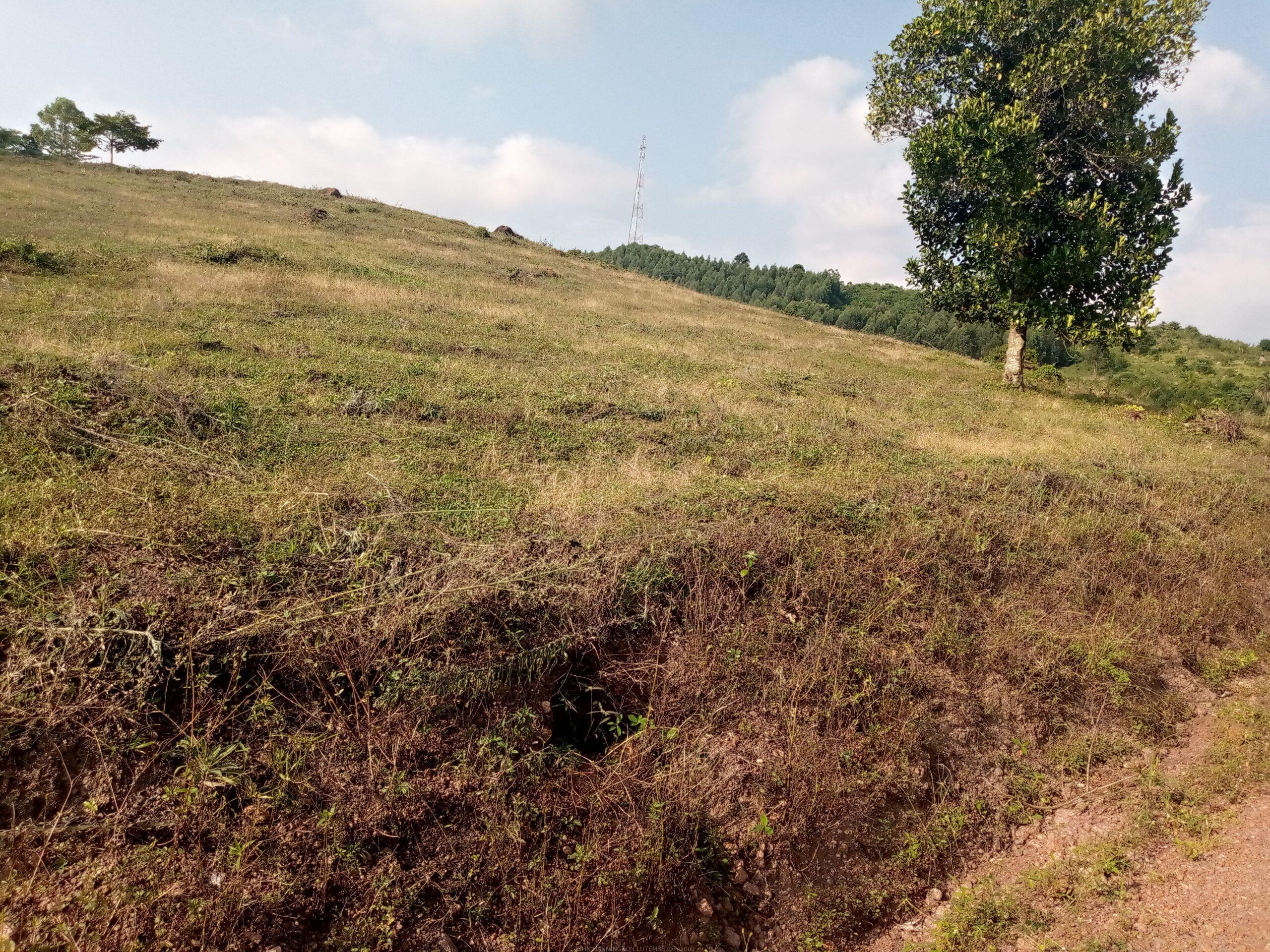 Residential plots for sale located in Wakiso Gobero muguluka