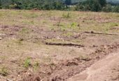 Titled plots on sale located in Wakiso Gobero LUTISI