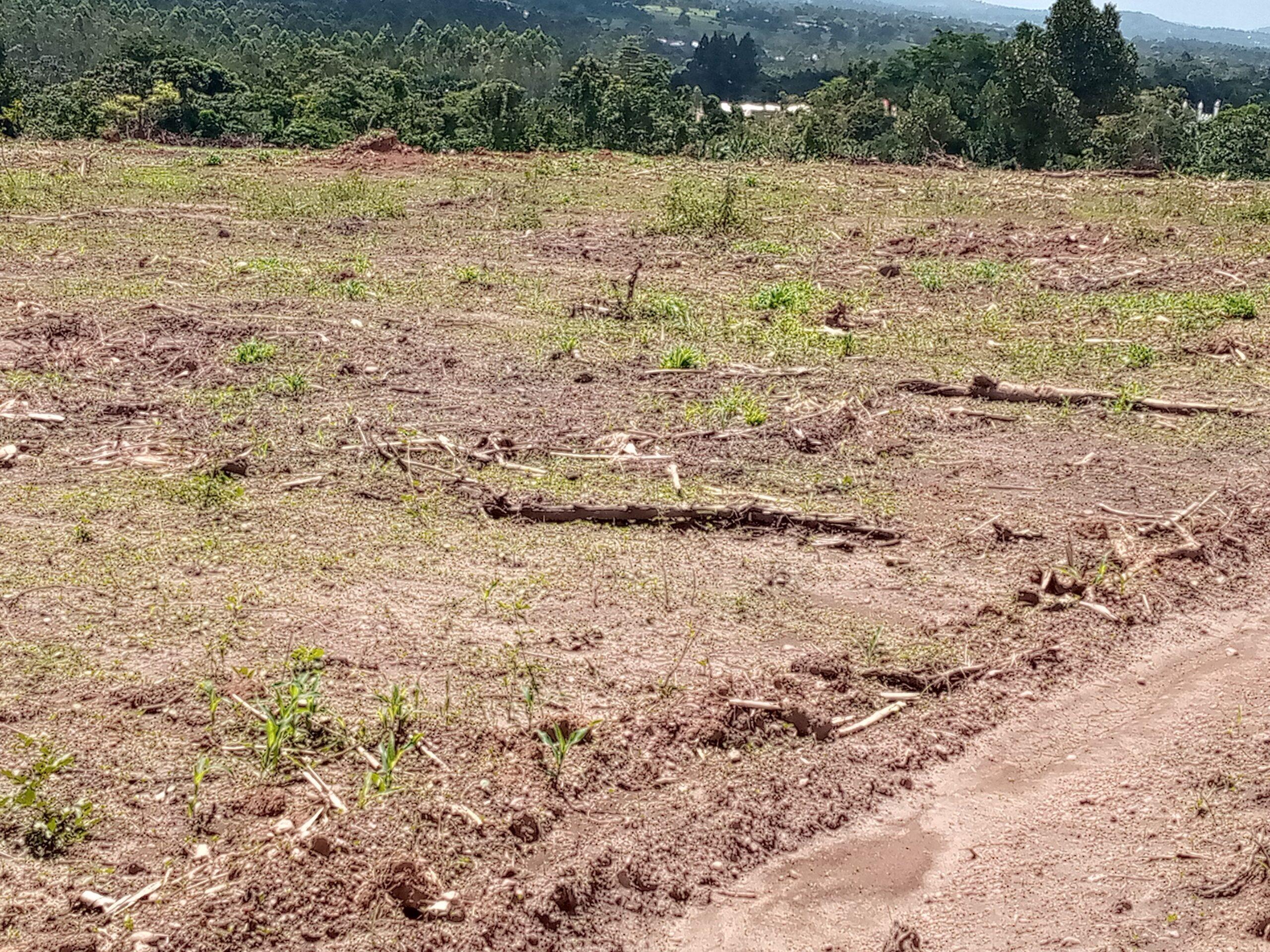 Titled plots on sale located in Wakiso Gobero LUTISI