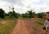TITLED RESIDENTIAL PLOTS FOR SALE LOCATED IN LUGAZI BUIKWE NAJJEMBE BUVUNYA ESTATE WITH READY LAND TITLE