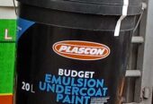 PAINT