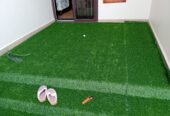 grass carpet