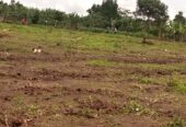 TITLED PLOTS FOR SALE LOCATED IN WAKISO KAKIRI MWERA