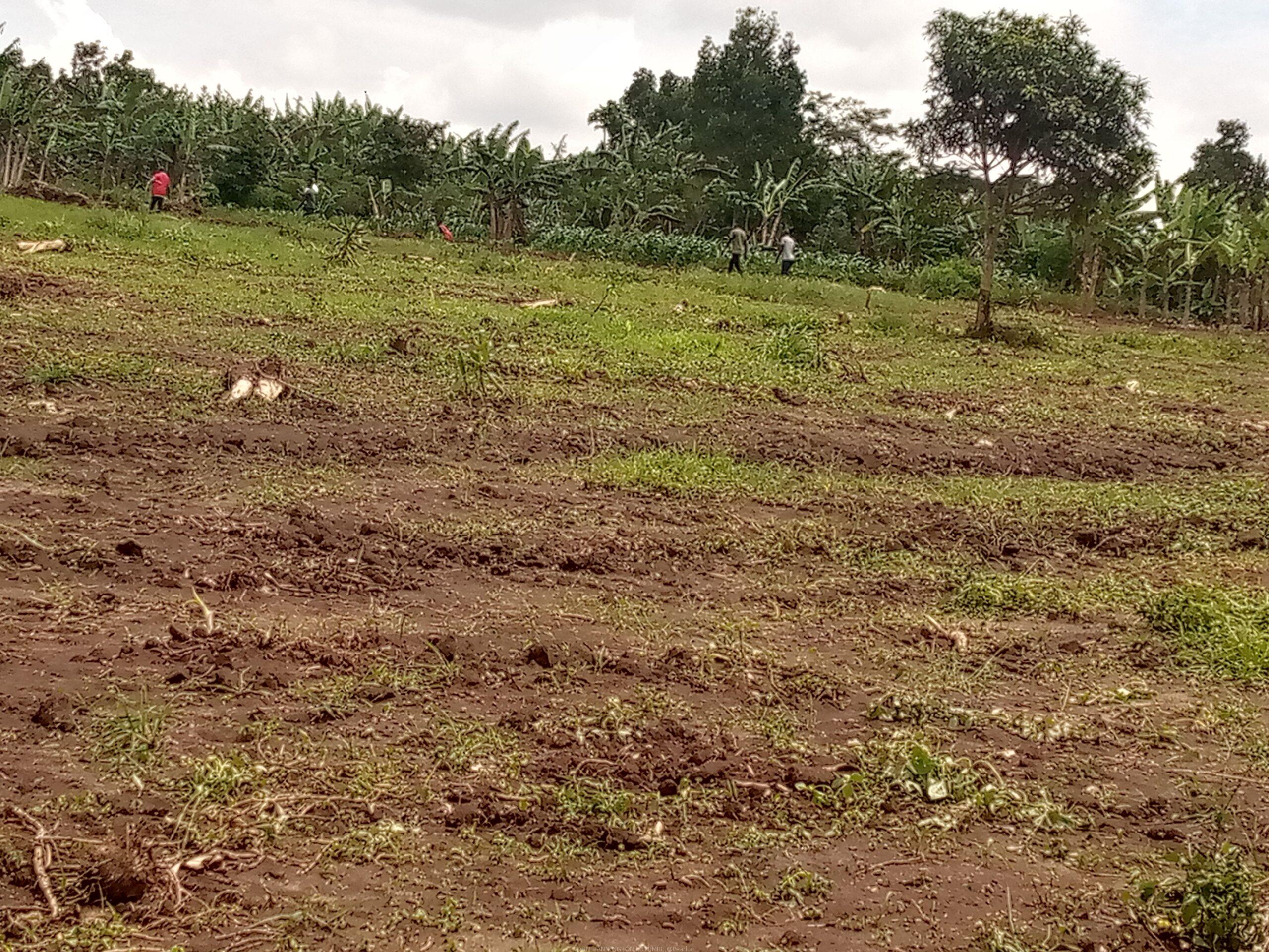TITLED PLOTS FOR SALE LOCATED IN WAKISO KAKIRI MWERA