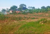 Bombo Road Matugga Sanga Residential plot for sale