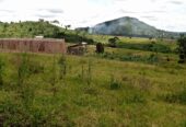 Commercial and Residential plots for sale located in Wakiso mabobwe tongoro village