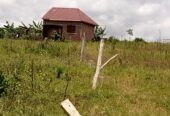 Commercial and Residential plots for sale located in Wakiso mabobwe tongoro village