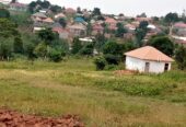 Commercial and Residential plots for sale located in Wakiso Namusera
