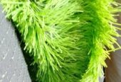SPORTS TURF