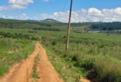 TITLED RESIDENTIAL PLOTS FOR SALE LOCATED IN WAKISO KAKIRI NSIMBAMANYO