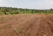 Commercial and Residential plots for sale located in GAYAZA BUSUKUMA NABUTITI