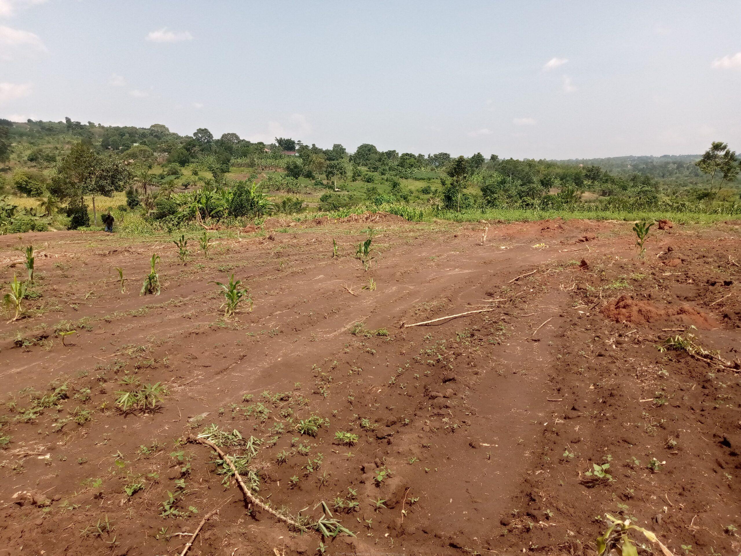 Commercial and Residential plots for sale located in GAYAZA BUSUKUMA NABUTITI