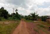 TITLED RESIDENTIAL PLOTS FOR SALE LOCATED IN LUGAZI BUIKWE NAJJEMBE BUVUNYA ESTATE WITH READY LAND TITLE