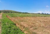 TITLED RESIDENTIAL PLOTS FOR SALE LOCATED IN WAKISO KAKIRI NSIMBAMANYO