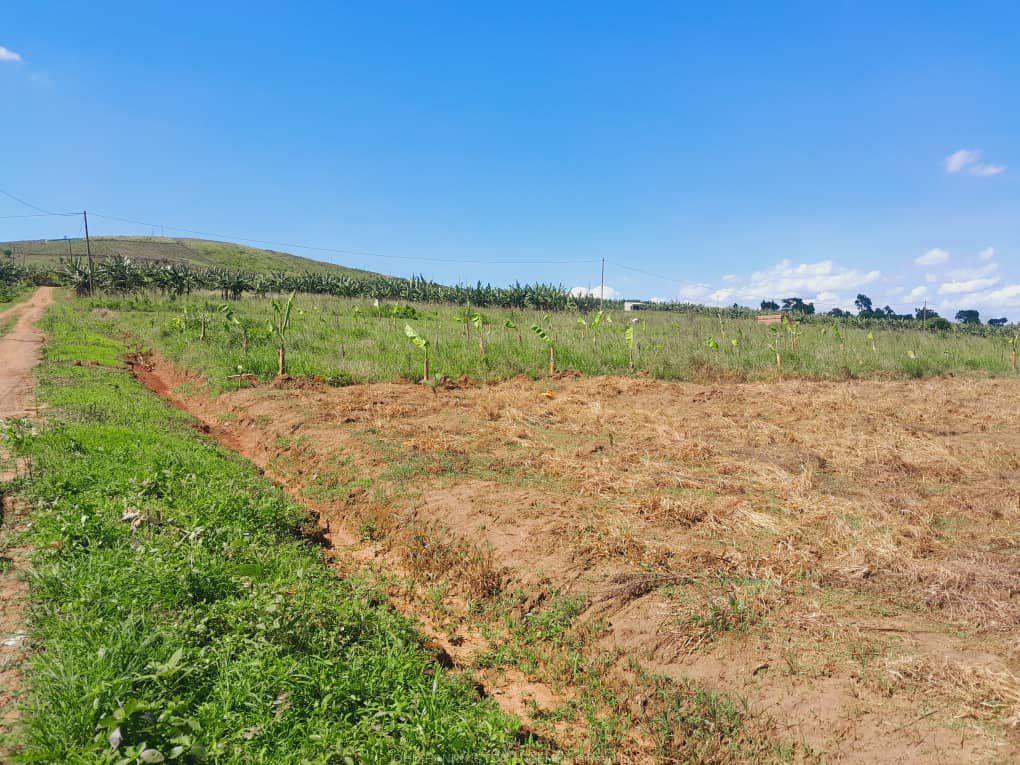 TITLED RESIDENTIAL PLOTS FOR SALE LOCATED IN WAKISO KAKIRI NSIMBAMANYO