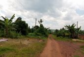 TITLED RESIDENTIAL PLOTS FOR SALE LOCATED IN LUGAZI BUIKWE NAJJEMBE BUVUNYA ESTATE WITH READY LAND TITLE