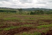 TITLED PLOTS FOR SALE LOCATED IN WAKISO KAKIRI MWERA