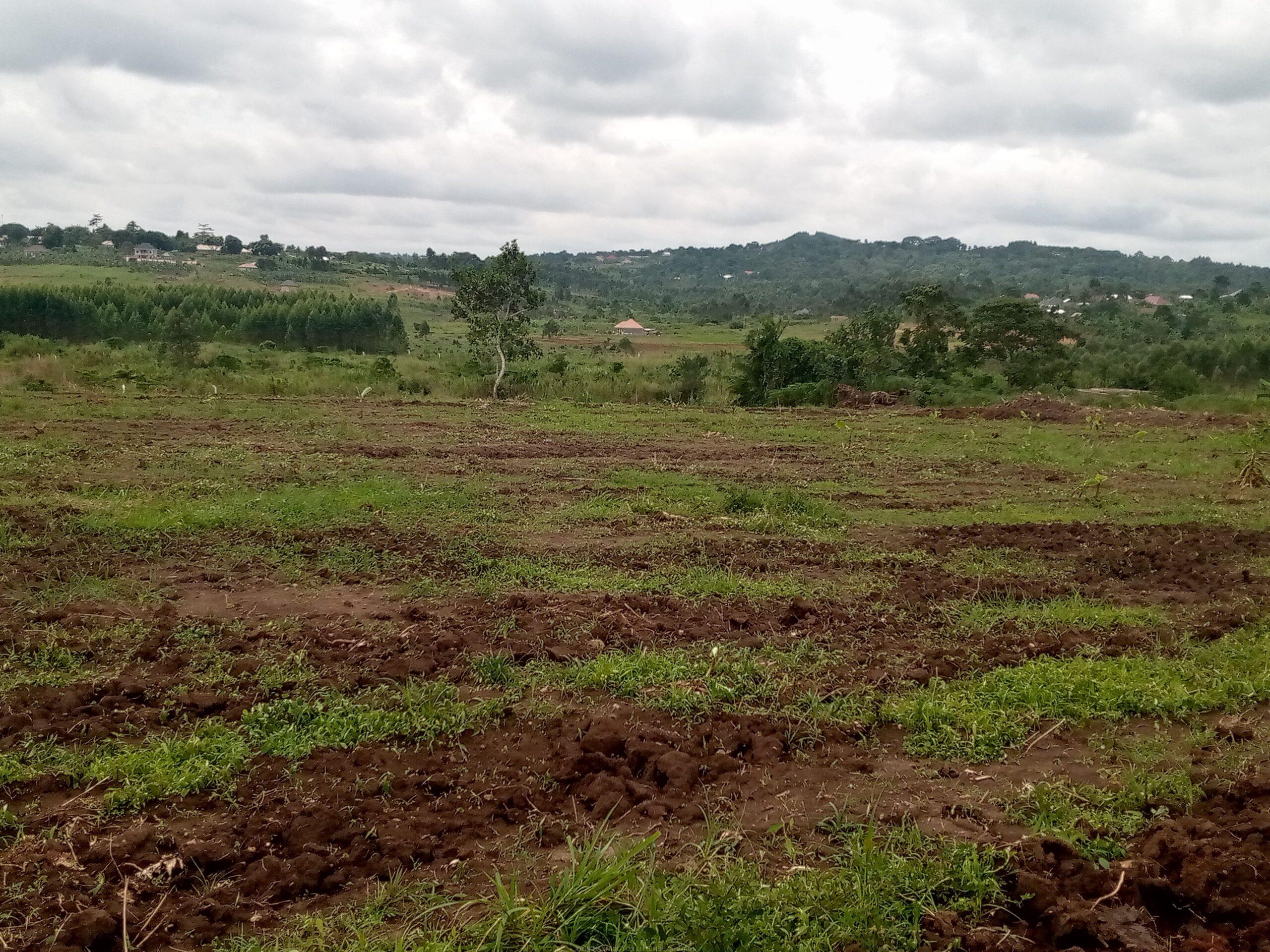 TITLED PLOTS FOR SALE LOCATED IN WAKISO KAKIRI MWERA