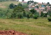 Commercial and Residential plots for sale located in Wakiso Namusera