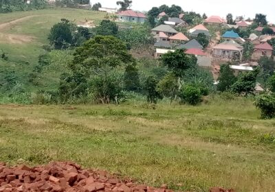 78ffb3fc-2909-47ba-be3e-691c09a41acc