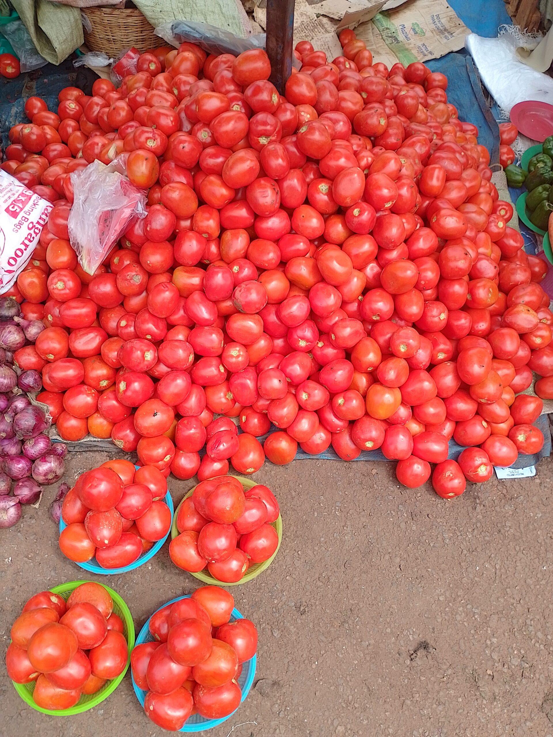 Tomatoes and onions and mangos