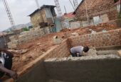 Fledmations and construction