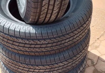87b2ae0a-9a22-45cc-9bce-38f06cbeb8d0
