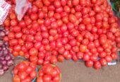Tomatoes