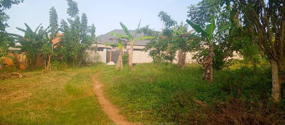 Bombo Road Matugga Sanga Residential plot for sale