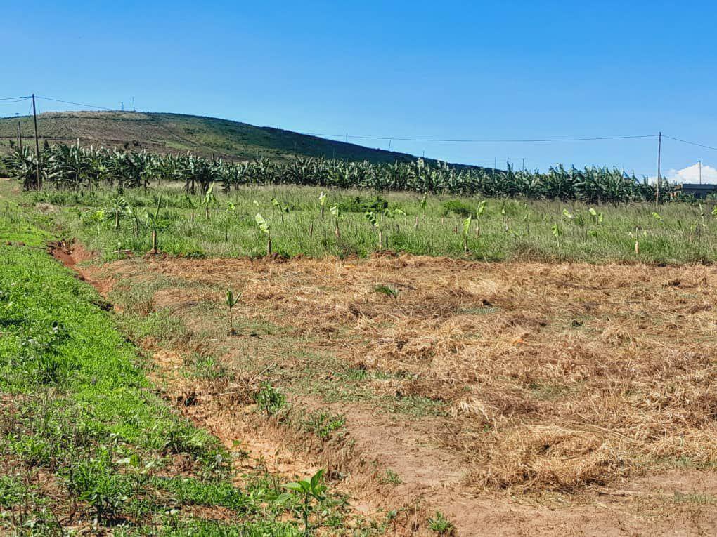 TITLED RESIDENTIAL PLOTS FOR SALE LOCATED IN WAKISO KAKIRI NSIMBAMANYO