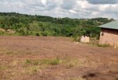 Commercial and Residential plots for sale located in Wakiso Namayumba town