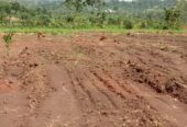 Commercial and Residential plots for sale located in GAYAZA BUSUKUMA NABUTITI