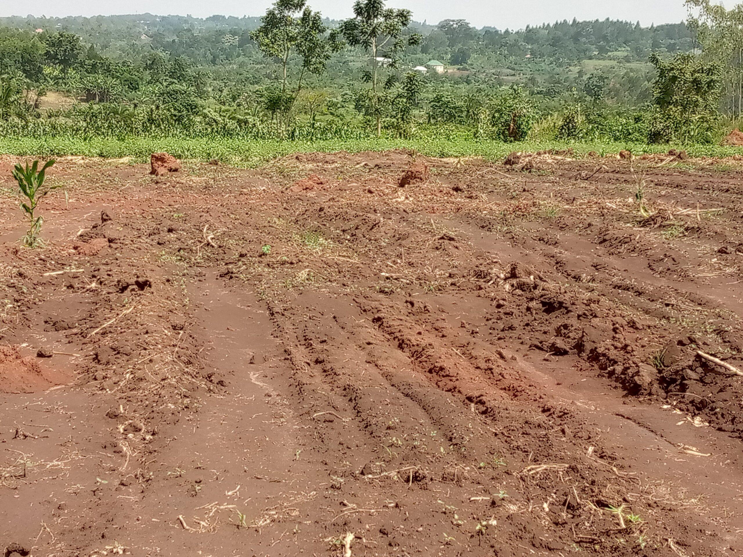 Commercial and Residential plots for sale located in GAYAZA BUSUKUMA NABUTITI