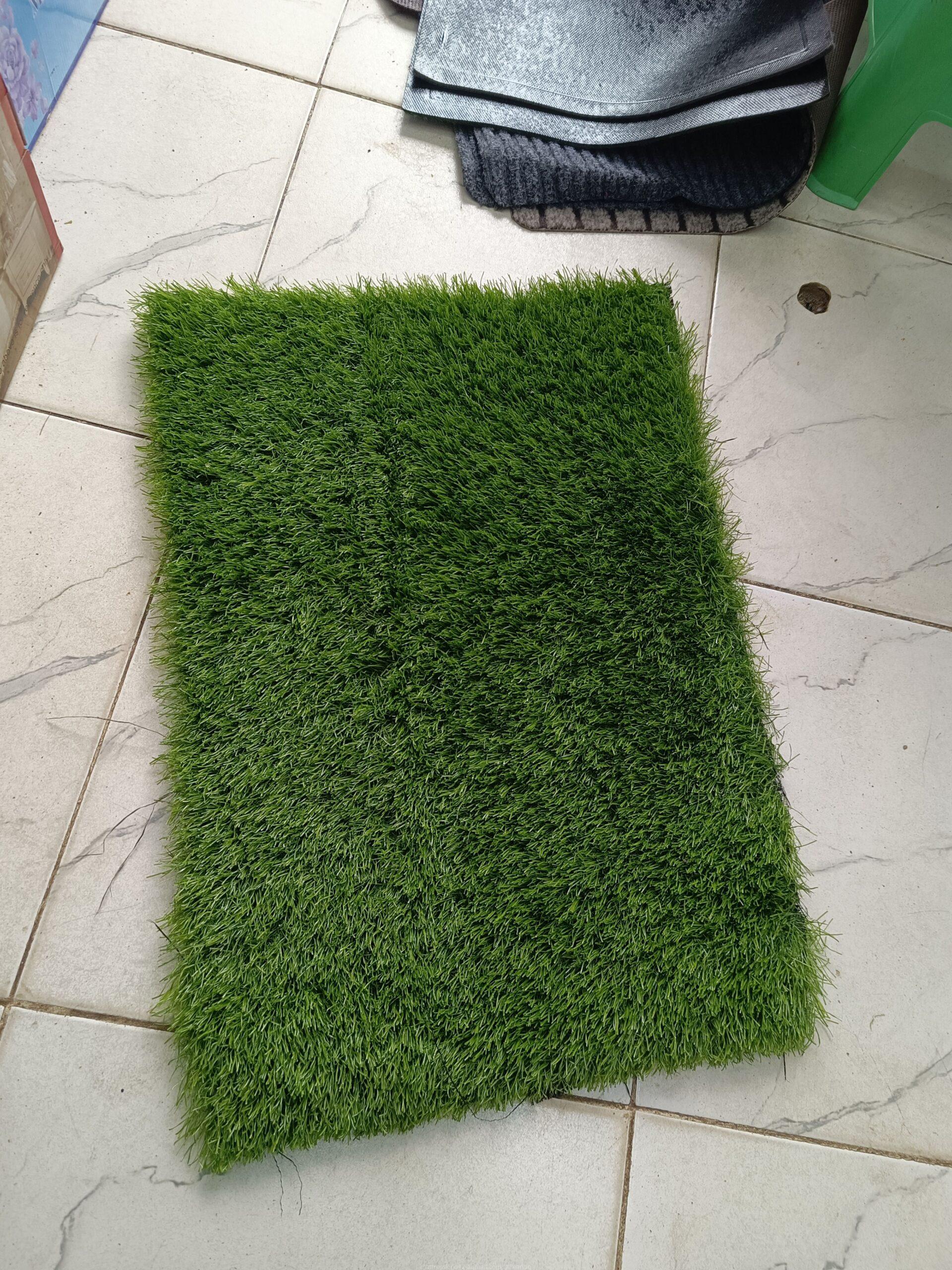 Grass Doormats