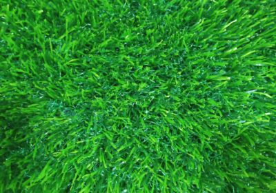 9595b05c-772a-4e5c-a618-d44531088ca0