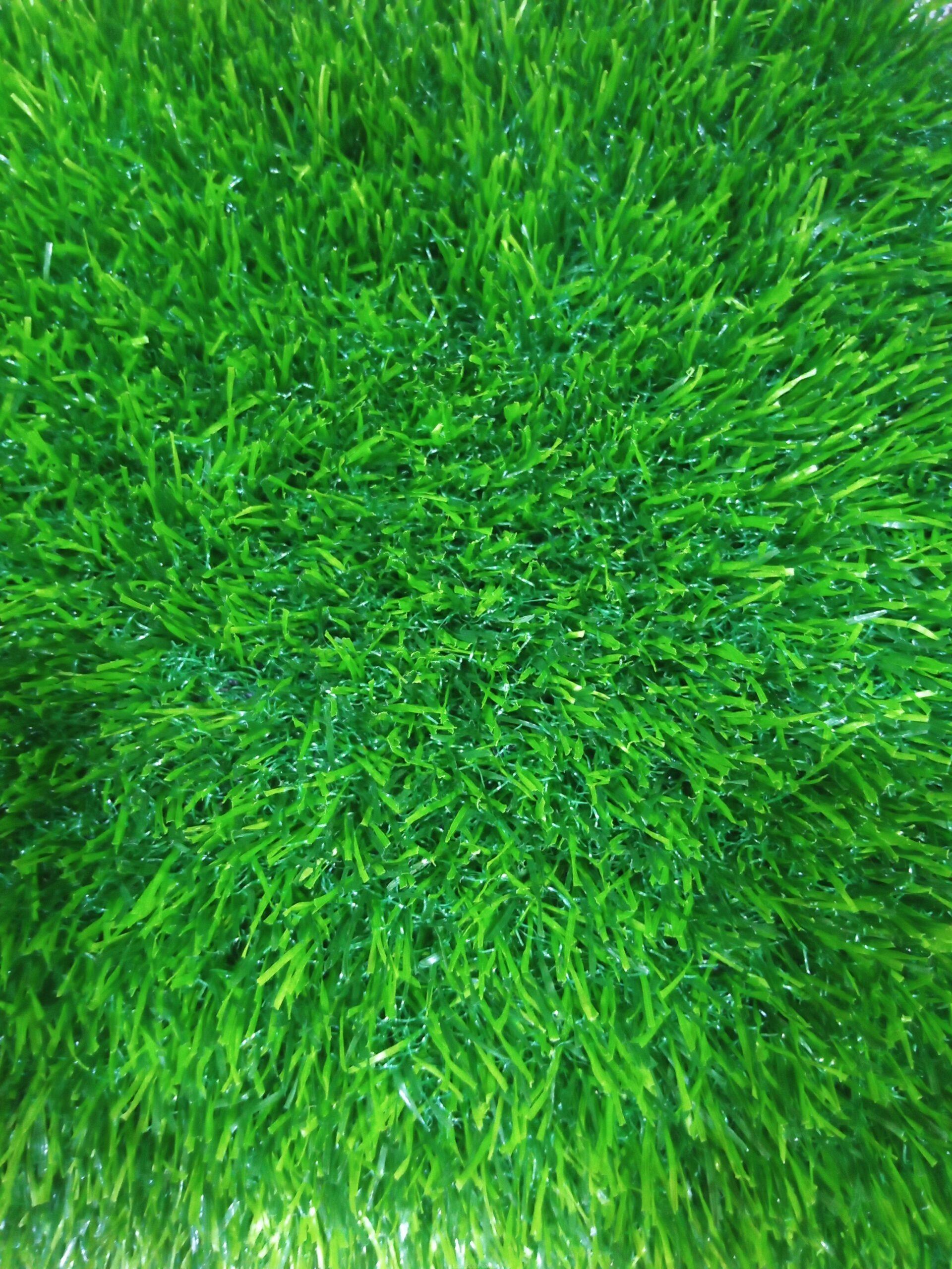 Grass carpet per square meters pearlug