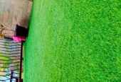 grass carpet