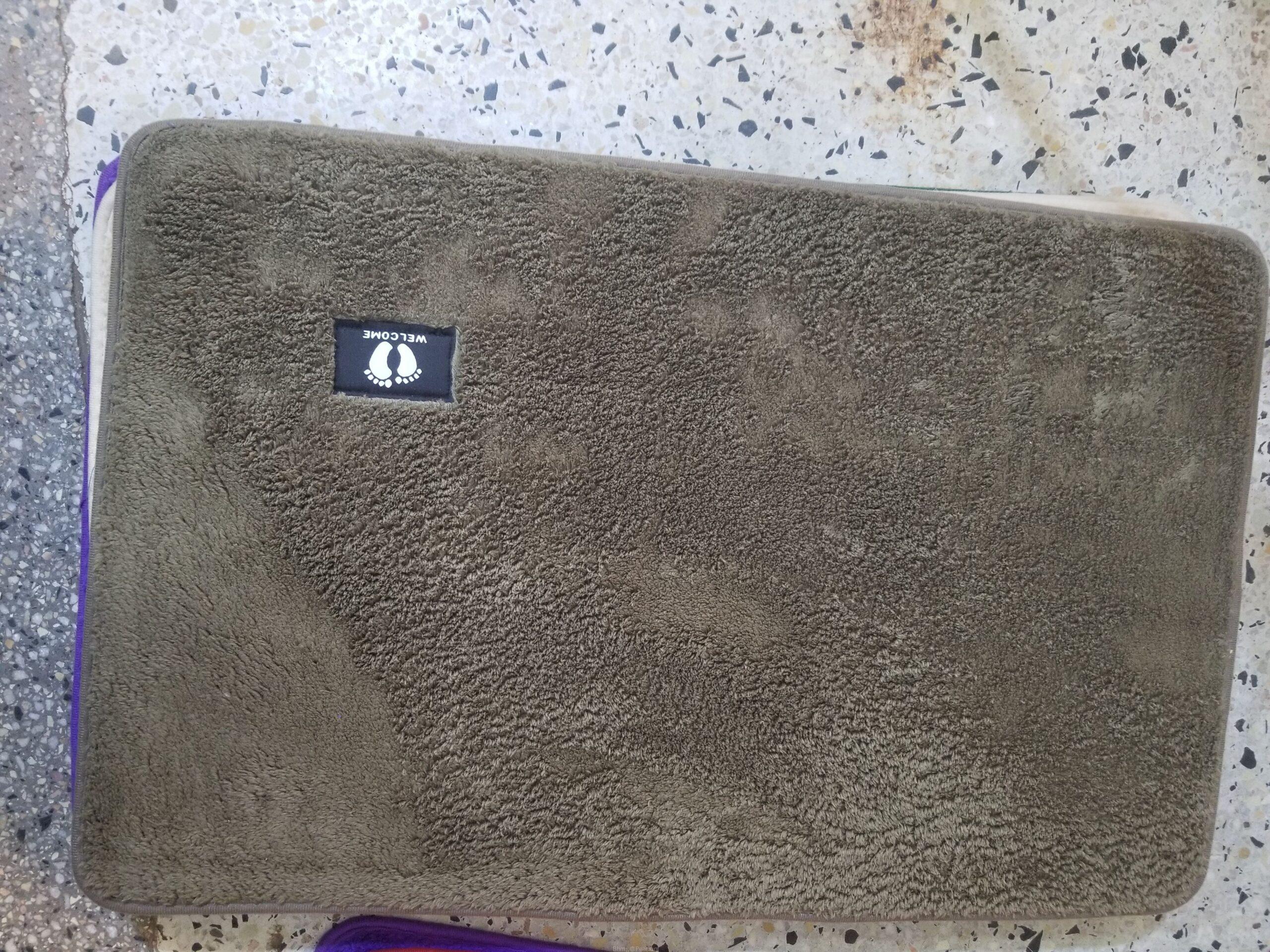 Door mat