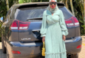 Pleated Turkish dress