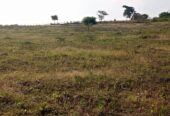 Residential plots for sale located in Wakiso Gobero muguluka